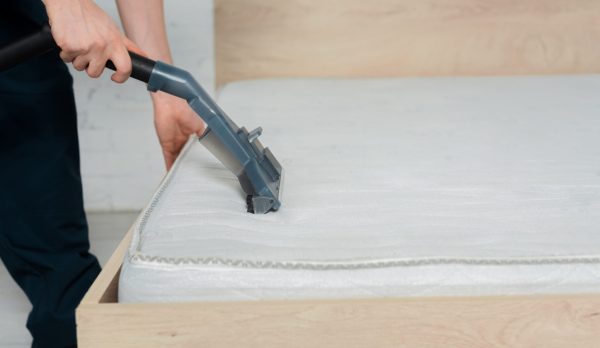 cropped view of cleaner holding vacuum cleaner while cleaning mattress